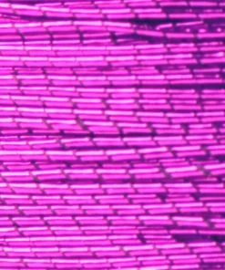 Supplies ProWrap Metallic Rod Winding Thread - Size D (100 Yds)