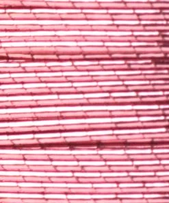 ProWrap Metallic Rod Winding Thread - Size D (1 Oz) Supplies