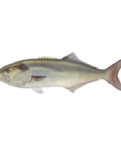 Mud Hole Truck Decals & Stickers 12