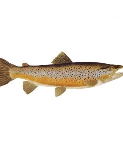 Mud Hole Truck Decals & Stickers 12