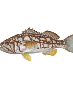 Mud Hole Truck Decals & Stickers 12