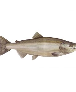 Mud Hole Truck Decals & Stickers 12