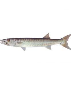 Mud Hole Truck Decals & Stickers 12