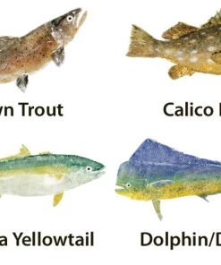CRB Japanese Gyotaku Fish Art Decals By Marshall Madruga