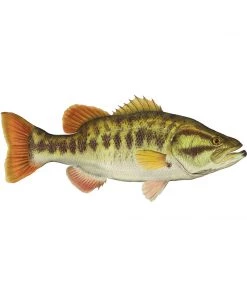 Mud Hole 4" Gamefish Boat & Truck Window Stickers