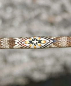 Mud Hole Rattlesnake Skins