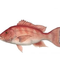 Mud Hole Truck Decals & Stickers 12