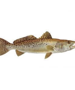 Mud Hole Truck Decals & Stickers 12