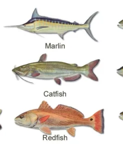 Mud Hole Women's Custom T-Shirt: Life Ring With Crossing Rods