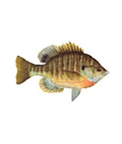 CRB Gamefish Rod Decals