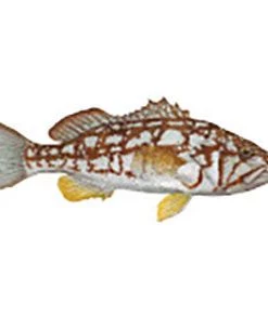 CRB Gamefish Rod Decals