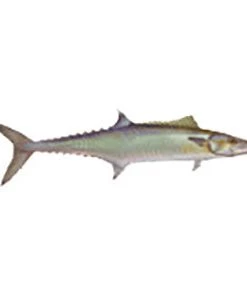 CRB Gamefish Rod Decals