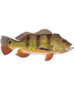 CRB Gamefish Rod Decals