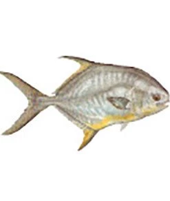 CRB Gamefish Rod Decals