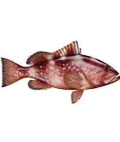 CRB Gamefish Rod Decals