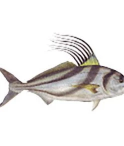 CRB Gamefish Rod Decals