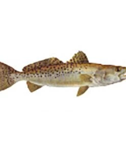 CRB Gamefish Rod Decals