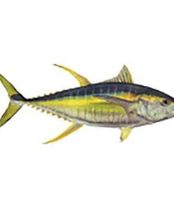 CRB Gamefish Rod Decals